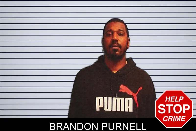 Brandon Purnell mugshot