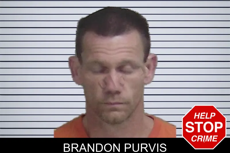 Brandon Purvis mugshot
