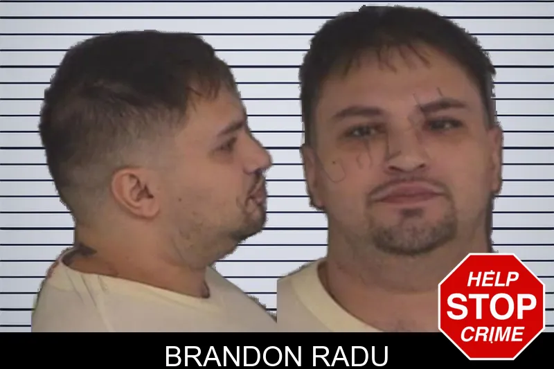 Brandon Radu mugshot