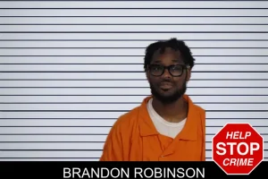 Brandon Robinson mugshot