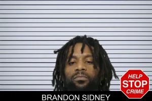 Brandon Sidney mugshot