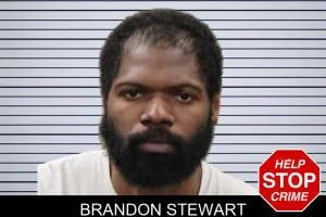 Brandon Stewart mugshot