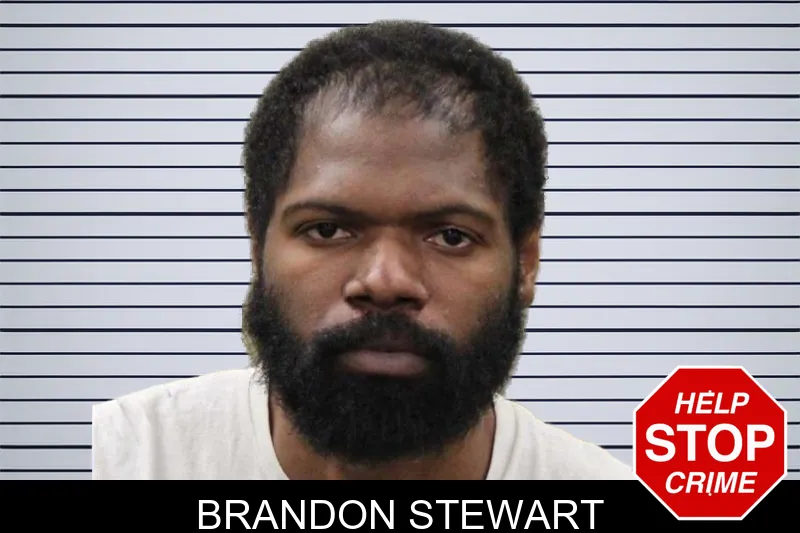 Brandon Stewart mugshot