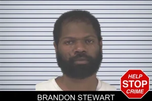 Brandon Stewart mugshot