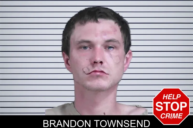 Brandon Townsend mugshot