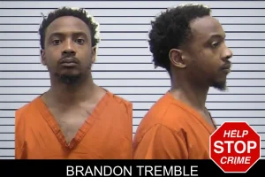 Brandon Tremble mugshot