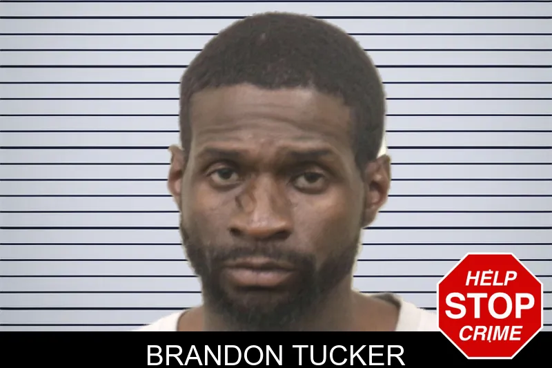 Brandon Tucker mugshot – Bulloch County , Georgia Brandon Tucker mugshot