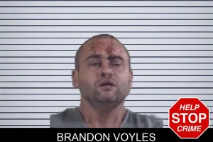 Brandon Voyles mugshot