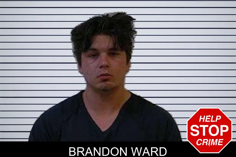 Brandon Ward mugshot