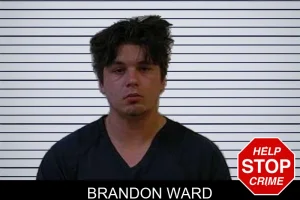 Brandon Ward mugshot