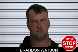 Brandon Watson mugshot