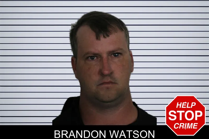 Brandon Watson mugshot