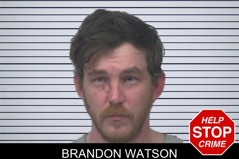 Brandon Watson mugshot