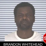 Brandon Whitehead mugshot