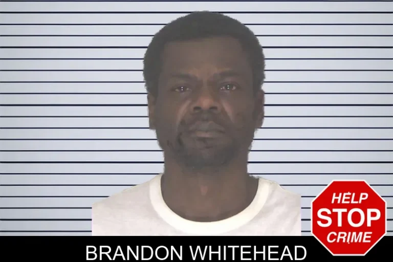 Brandon Whitehead