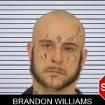 Brandon Williams mugshot