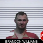 Brandon Williams mugshot