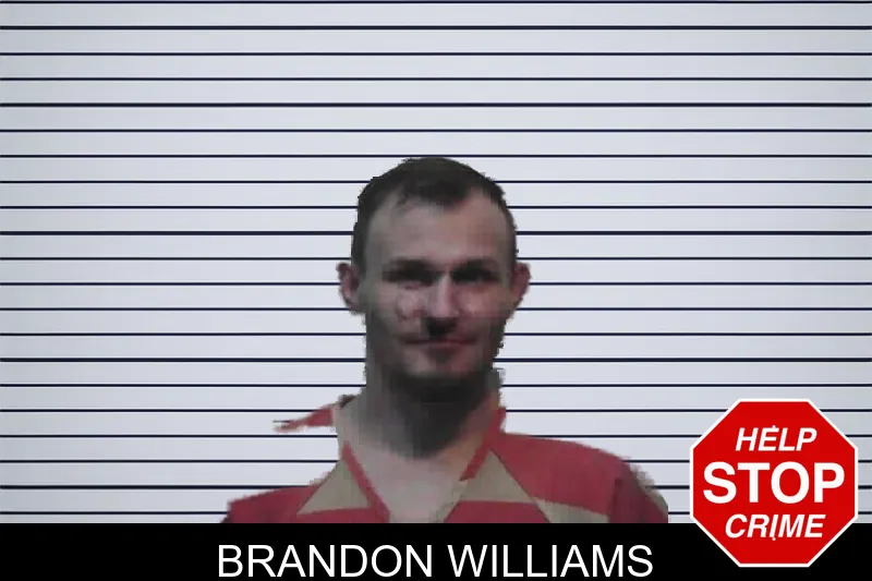 Brandon Williams mugshot