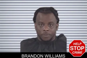 Brandon Williams mugshot