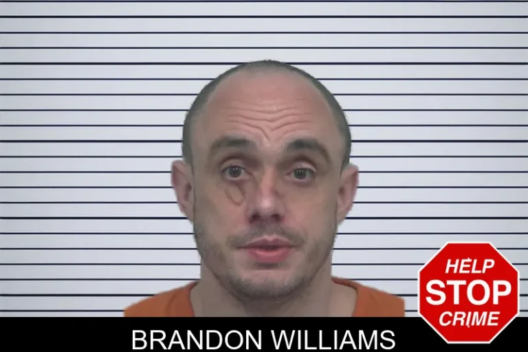 Brandon Williams mugshot – Gwinnett County , Georgia Brandon Williams