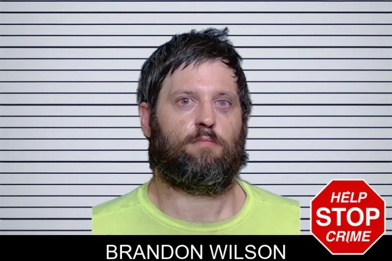 Brandon Wilson mugshot – Glynn County , Georgia Brandon Wilson