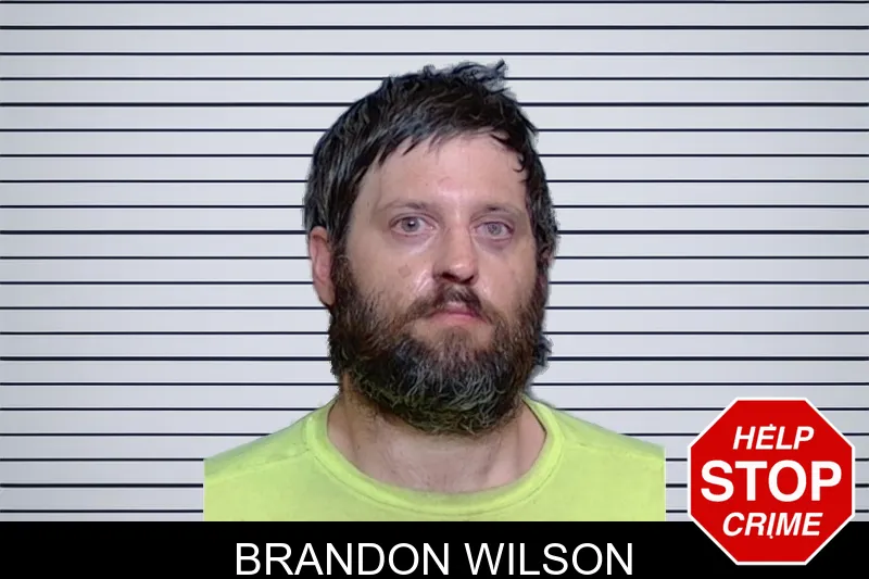 Brandon Wilson mugshot