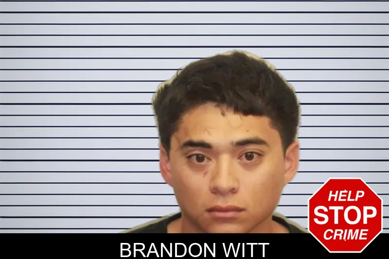 Brandon Witt mugshot