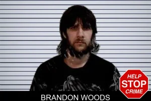 Brandon Woods mugshot