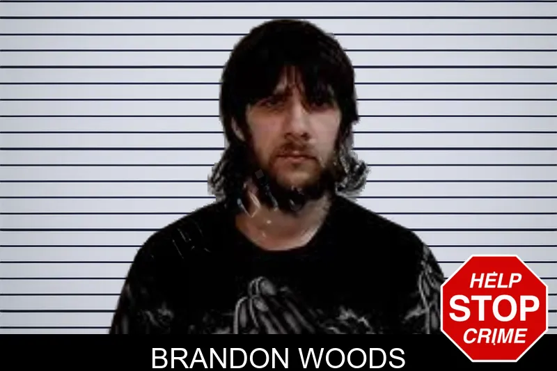 Brandon Woods mugshot