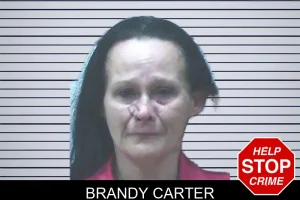 Brandy Carter mugshot
