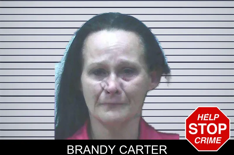 Brandy Carter mugshot