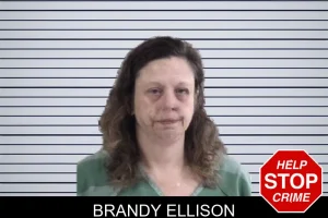 Brandy Ellison mugshot