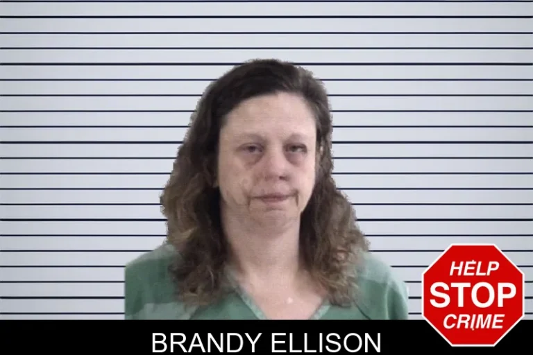 Brandy Ellison