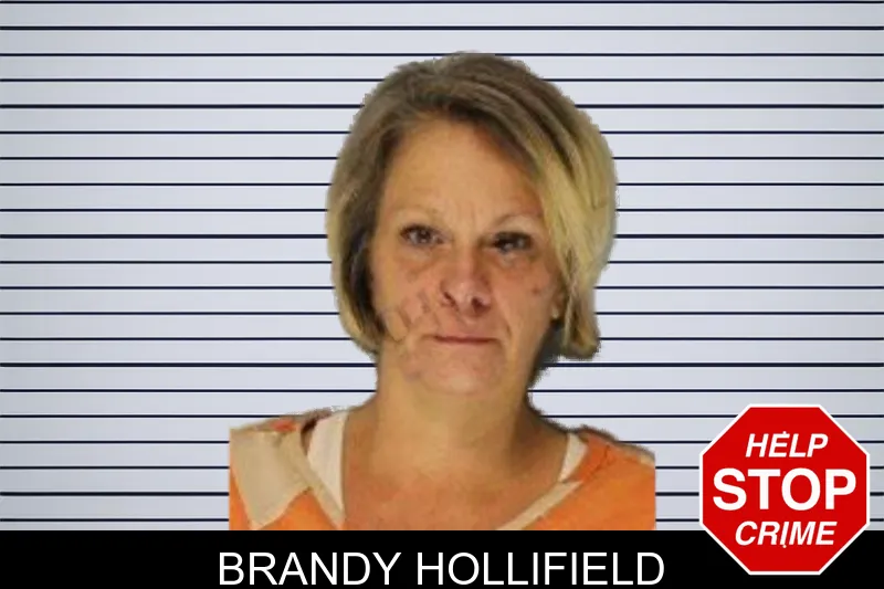 Brandy Hollifield mugshot
