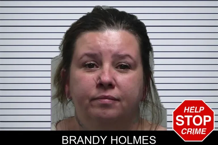 Brandy Holmes mugshot – Tift County , Georgia Brandy Holmes