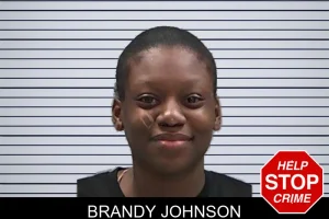 Brandy Johnson mugshot