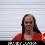Brandy Lawson mugshot – Pickens County , Georgia Brandy Lawson mugshot