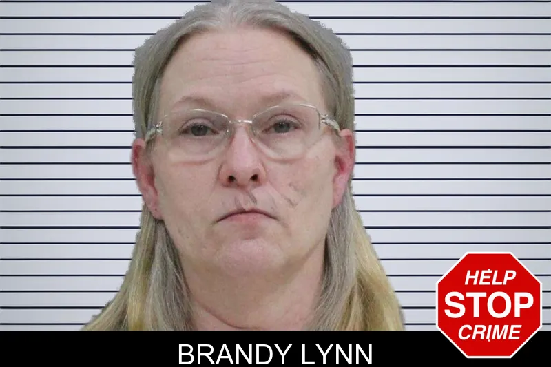 Brandy Lynn mugshot