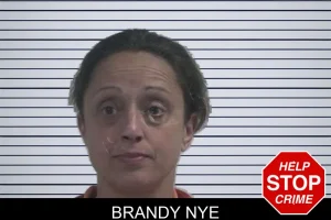 Brandy Nye mugshot