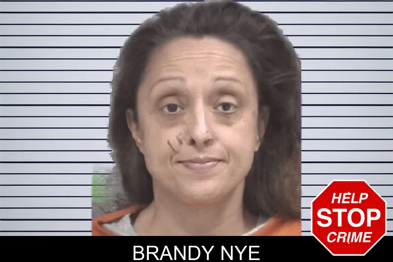 Brandy Nye mugshot – Columbia County , Georgia Brandy Nye mugshot