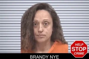 Brandy Nye mugshot
