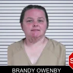 Brandy Owenby mugshot