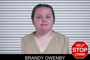 Brandy Owenby mugshot