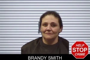 Brandy Smith mugshot