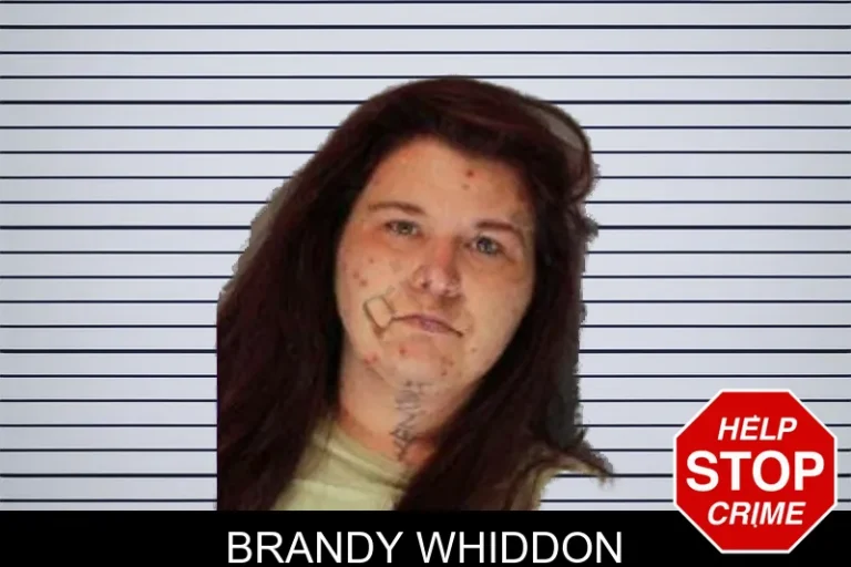 Brandy Whiddon