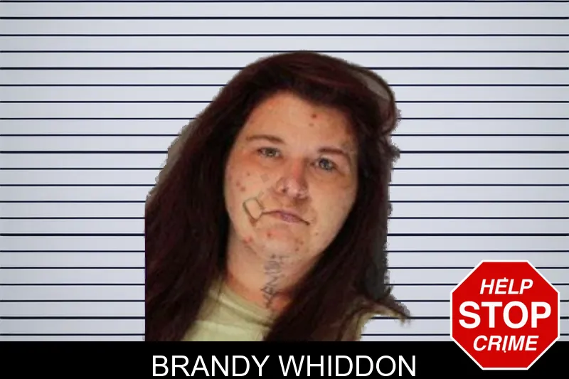 Brandy Whiddon mugshot – Hall County , Georgia Brandy Whiddon mugshot