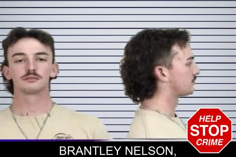 Brantley Nelson,