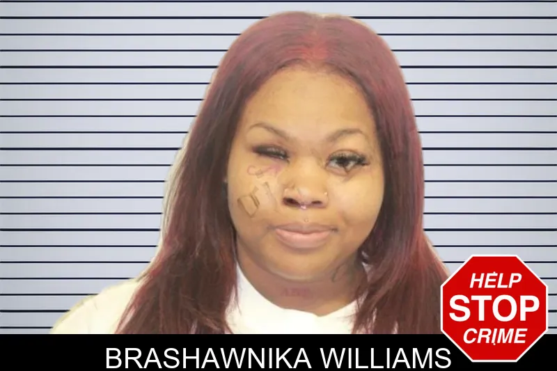 Brashawnika Williams mugshot