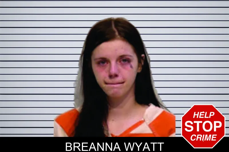 Breanna Wyatt mugshot