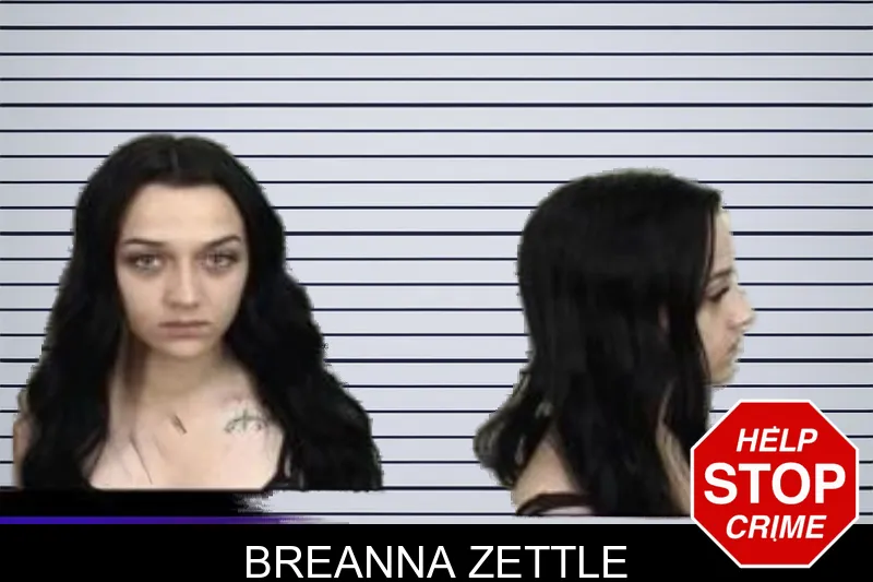 Breanna Zettle mugshot